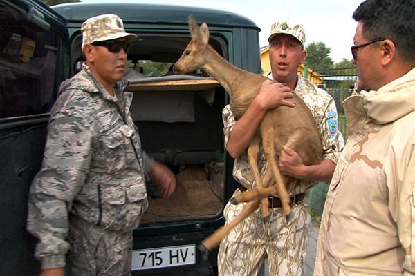 Джонни из Катона